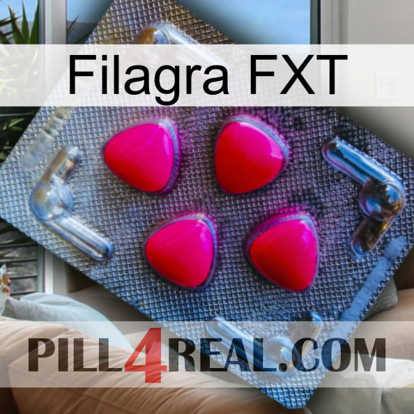 Filagra FXT 13.jpg